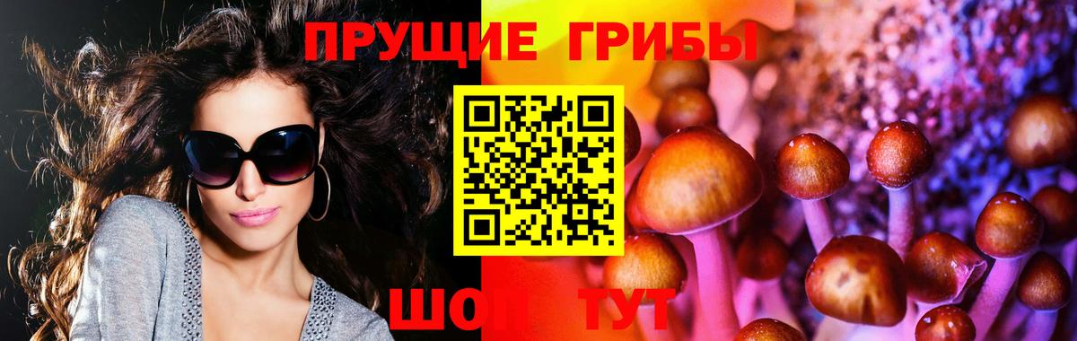Галлюциногенные грибы мухоморы Сорочинск