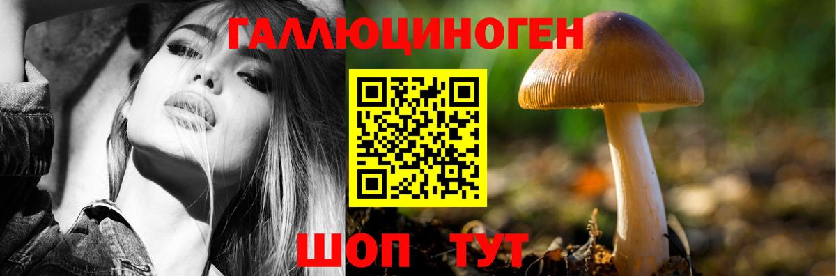 сколько стоит  Псилоцибиновые грибы MAGIC MUSHROOMS  Вход с VPN  Сорочинск 